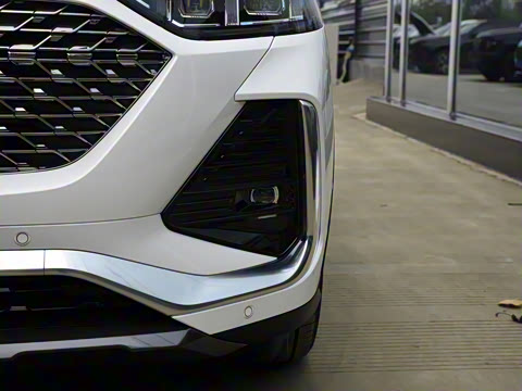 2022�� 1.5T DHT����