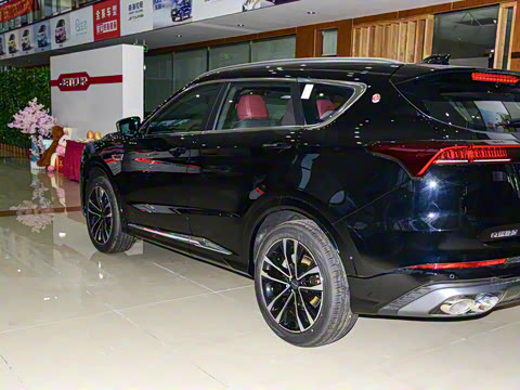 2023�� 1.6T DCTǿ��PRO+ 5��