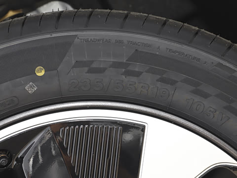 2025�� 205��������������