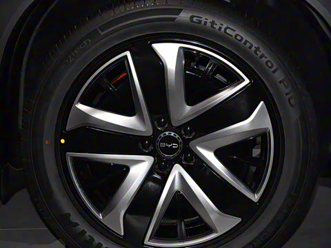 2025�� 135 �����ܼ����״��