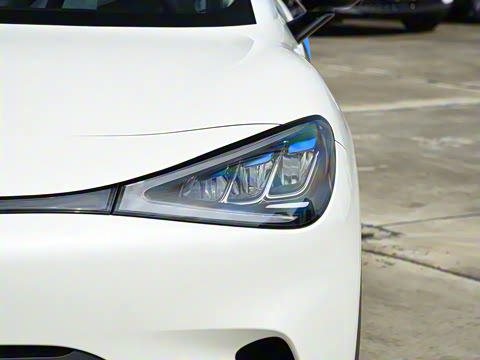 2026�� �鶯��������