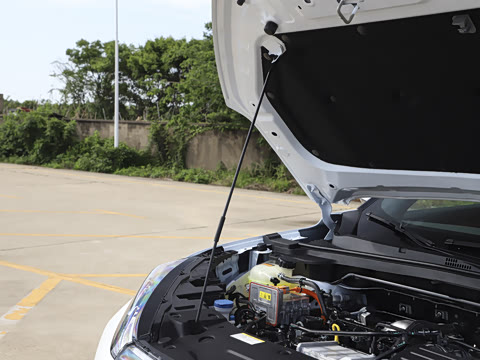 2025�� 205��������������