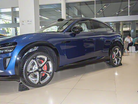 2025�� ������������������Max��