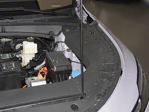 2025�� 450km ������