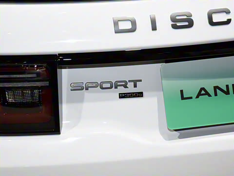 2022�� P300e ���ܿƼ���