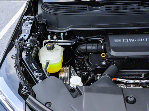 2026�� 165km ������������Max 5��