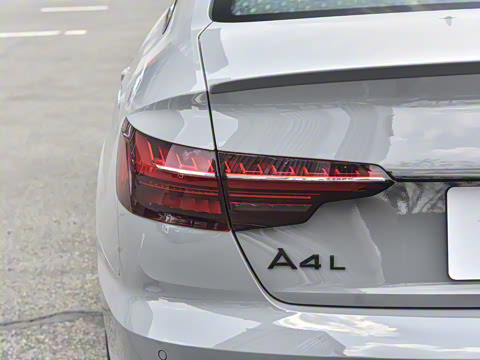 2025�� 200���������� 45 TFSI quattro ��ѡ������