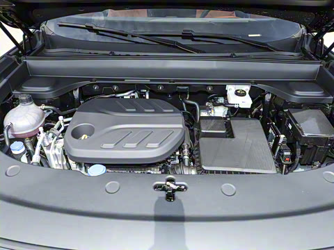 2025�� 145������