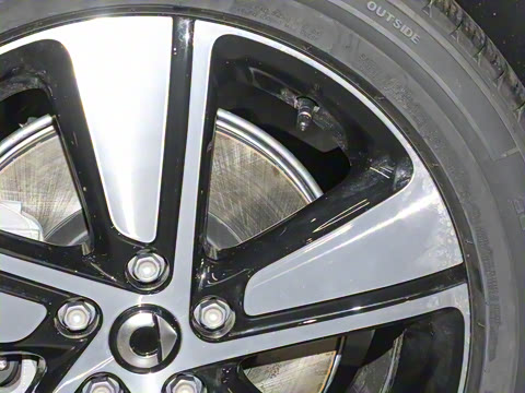 2026�� �鶯������