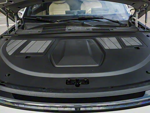 2025�� ���� 265 Max��������������ʻ