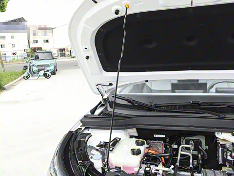 2025�� 565km ������