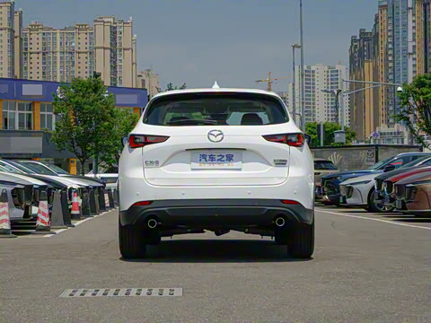 2025�� 2.0L �Զ���������Pro