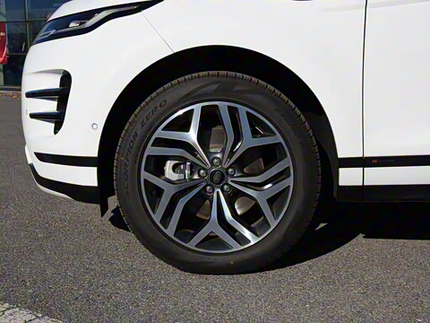 2021�� ����L P300e ������