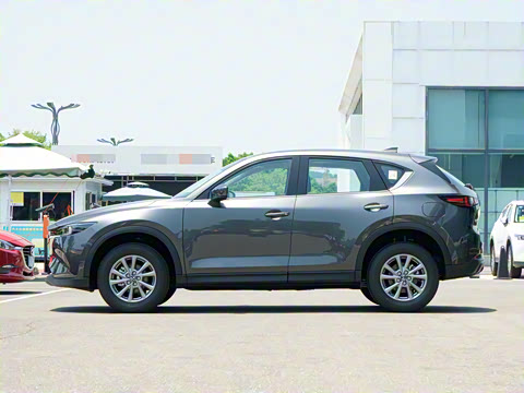 2025�� 2.0L �Զ�����������