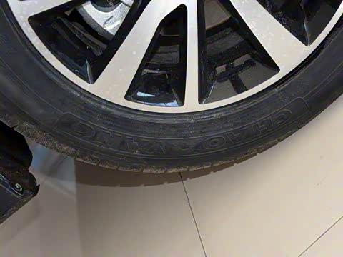 2018�� �Ŀ� 1.5T �ֶ�������