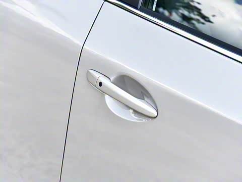 2025�� 2.0L �Զ���������Pro