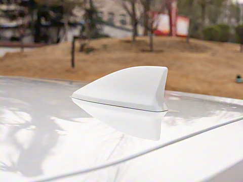 2021�� �񡤻춯 2.0L ����������