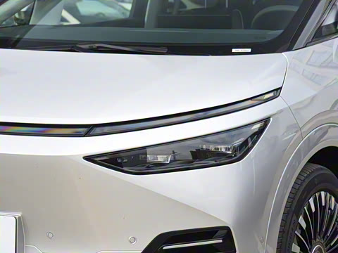 2025�� 702���������� Max