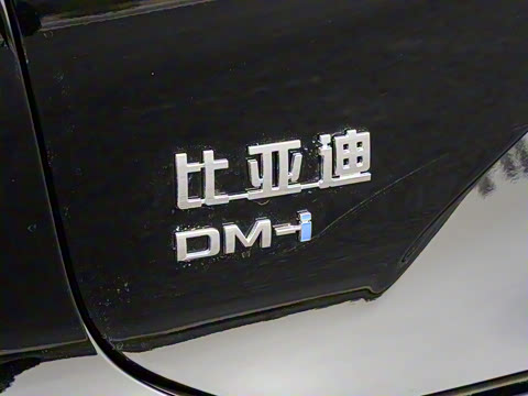 2025�� DM-i 200KM�����״�������