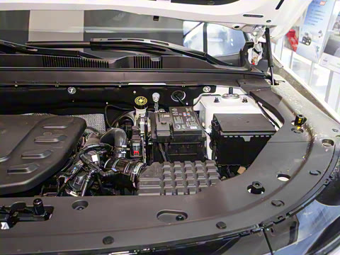 2025�� 1.5T ����� 5��