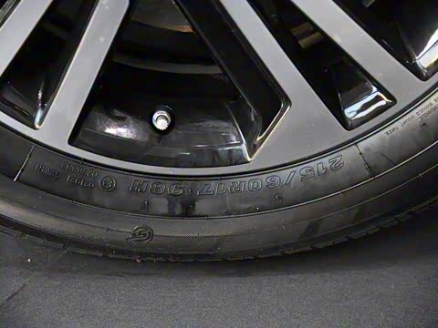 2019�� 1.4T �ֶ������