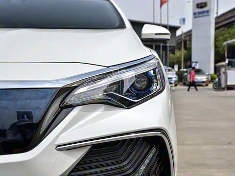 2019�� ������������