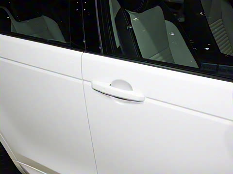 2022�� P300e ���ܿƼ���