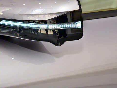 2025�� FREE+ ����Ǭ����