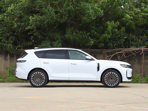 2025�� FREE+ ����Ǭ����