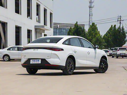 2025�� 520�ǻݰ�