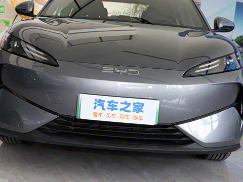 2025�� 520�ǻݰ�