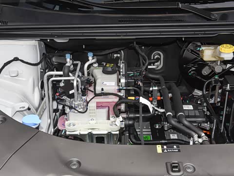 2026�� ������