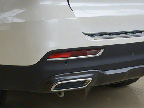 2019�� 30T ������Ⱥ�콢��