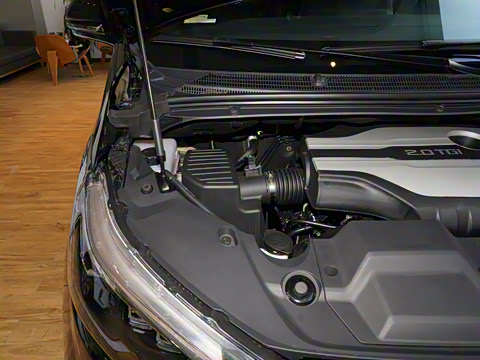 2020�� 2.0T �����Զ���ѡ��