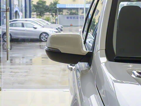 2019�� 30T ������Ⱥ�콢��