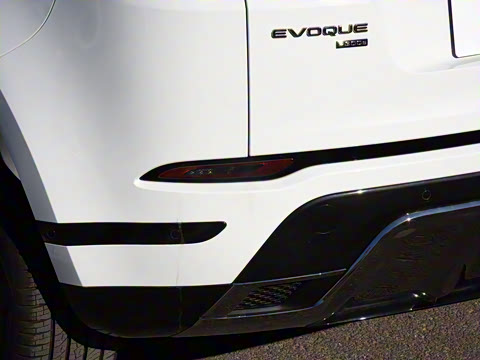 2021�� ����L P300e ������