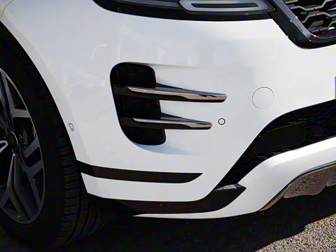 2021�� ����L P300e ������