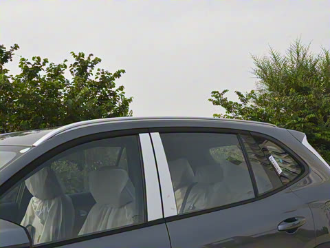 2025�� 55km ̽����