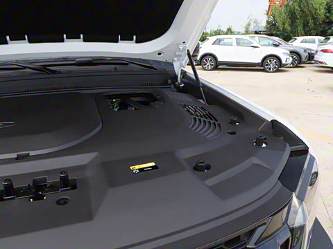 2025�� 2.0TD XWD �Զ������ӳ��� 7��