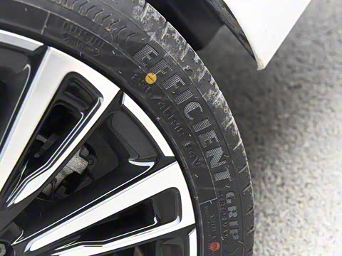 2019�� ��Max 630