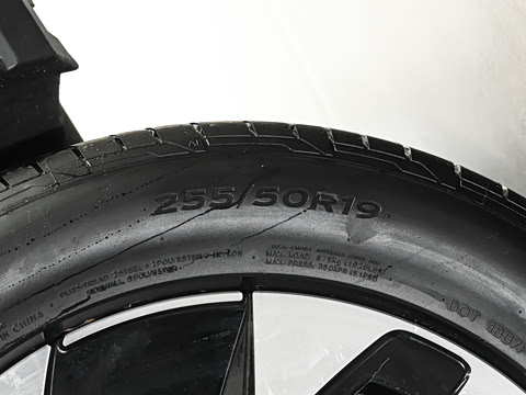 2025�� ������PURE+��