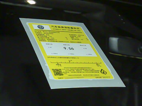 2024�� 2.0T 268HP AWD Veloce������