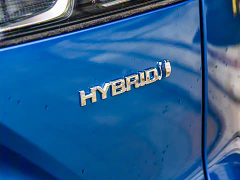 2023�� 2.0L ���ܵ��˫�� �˶���