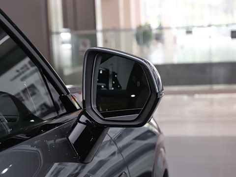 2025�� 2.0TD EM-P ����Max ����