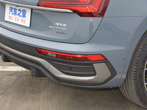 2022�� 40 TFSI RS�׼�ȼ����