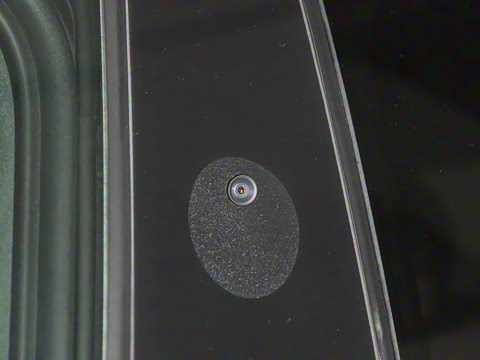 2025�� ������������������Max��