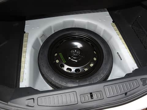 2019�� EcoBoost 245 ������