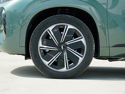 2025�� 210 ������