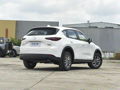 2025�� 2.0L �Զ�����������