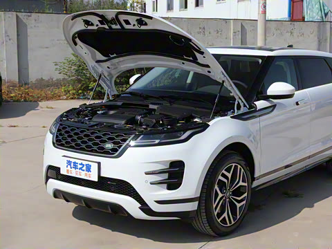 2022�� ����L P300e ���ʽ�綯��ϰ�